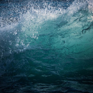 《大梦花都》小说
