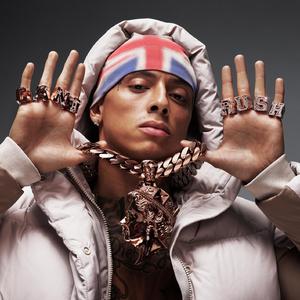 《大梦花都》小说
