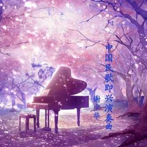 《大梦花都》小说
