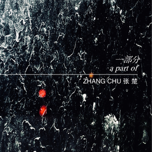 《大梦花都》小说
