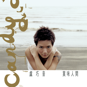 《大梦花都》小说
