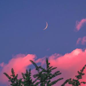 《大梦花都》小说
