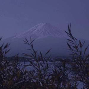 《大梦花都》小说

