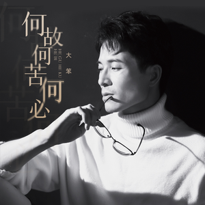 《大梦花都》小说
