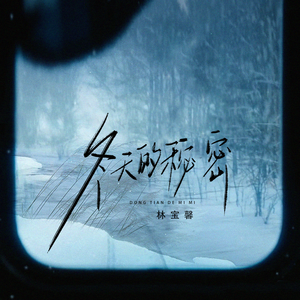 《大梦花都》小说
