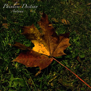 《大梦花都》小说
