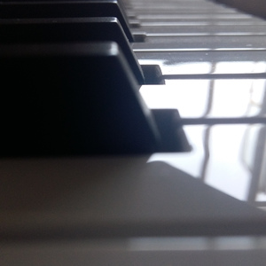 《大梦花都》小说
